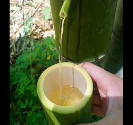 竹筒養(yǎng)生酒加盟代理